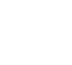 Salad Project